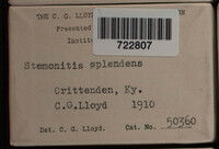 Image Associated With the Occurence